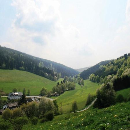Large holiday home in Willingen with private garden&several terraces Buitenkant foto