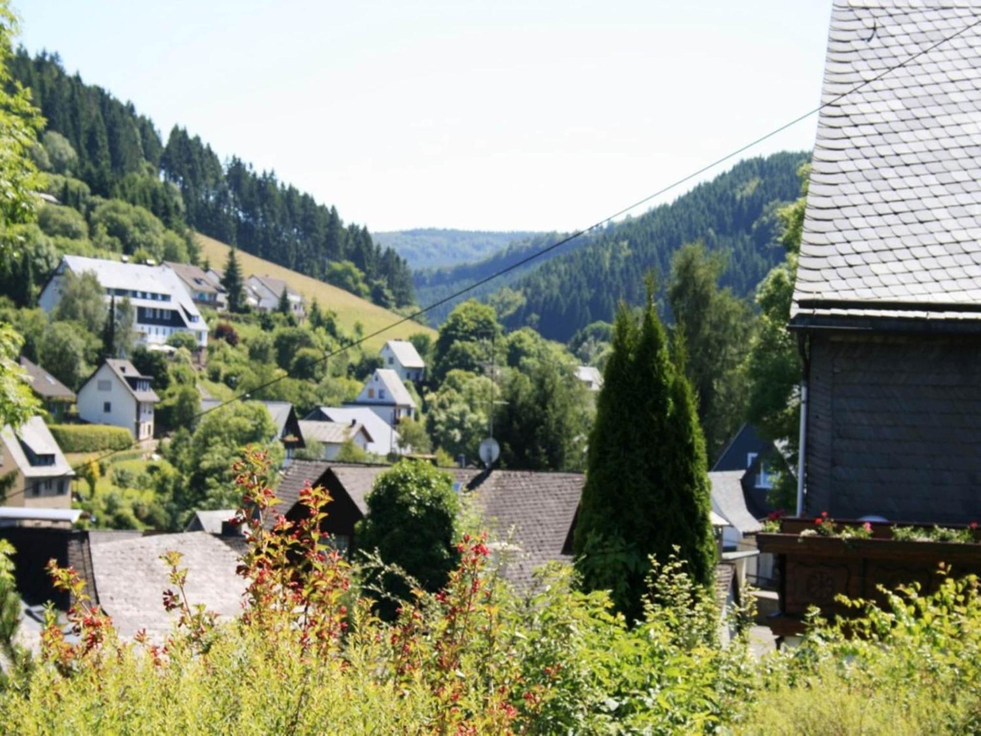 Large holiday home in Willingen with private garden&several terraces Buitenkant foto
