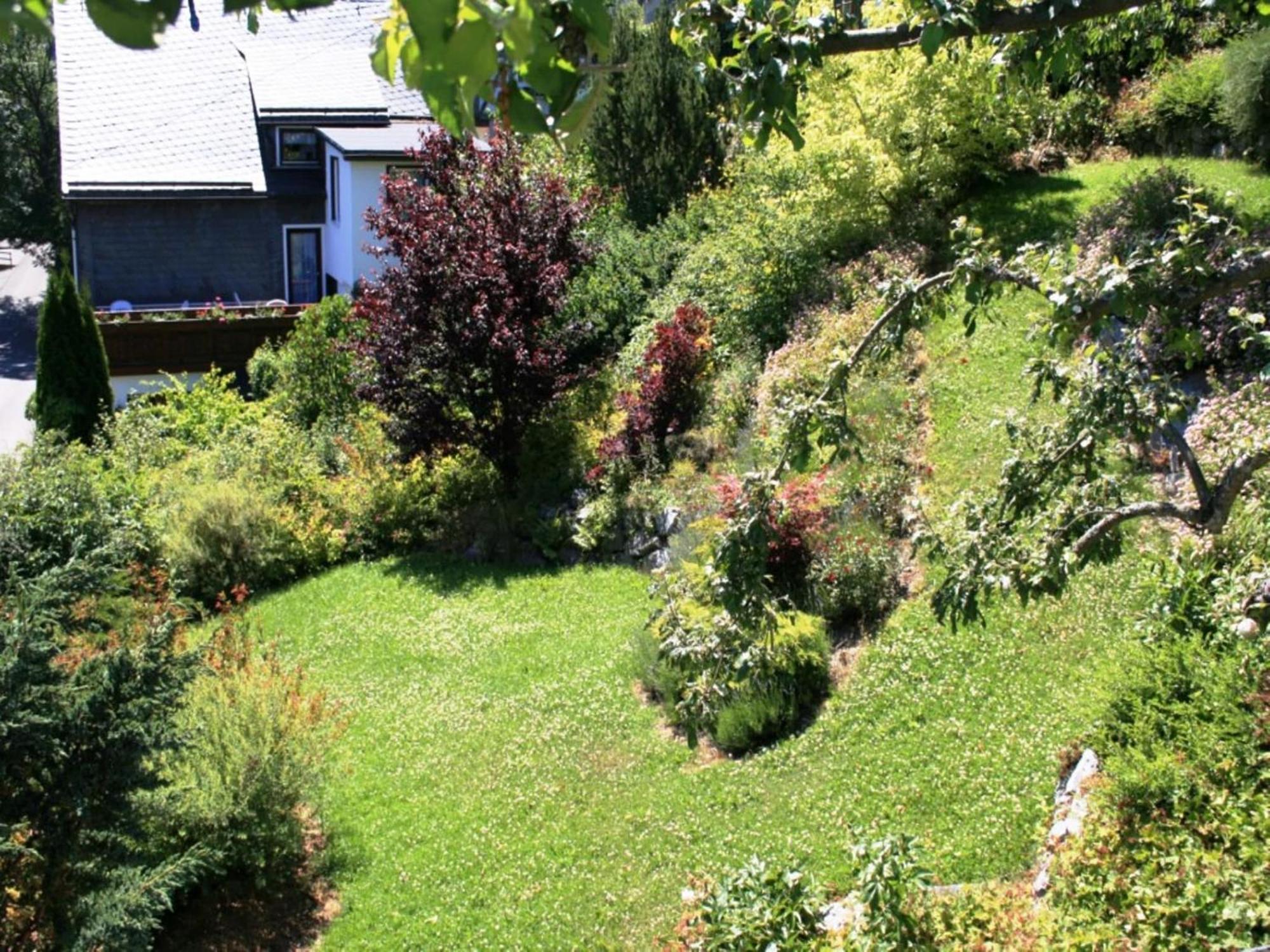 Large holiday home in Willingen with private garden&several terraces Buitenkant foto